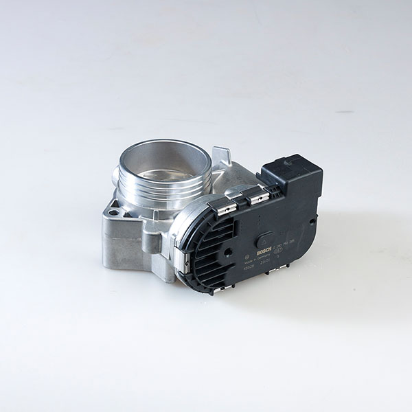 Electronic Throttle Body (ETB)